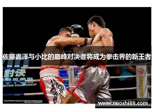 佐藤嘉洋与小比的巅峰对决谁将成为拳击界的新王者